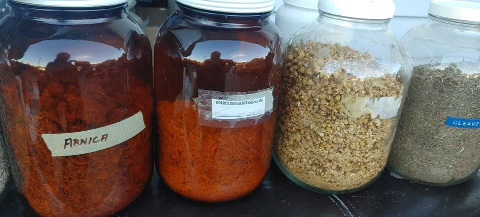 Large jars of dried herbs for making therapeutic oils - photo 3