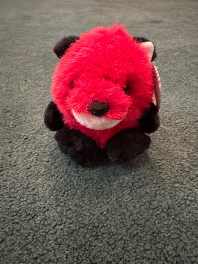 MJC Red Fox