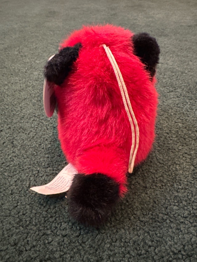 MJC Red Fox - photo 3