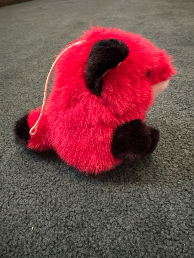 MJC Red Fox - photo 4
