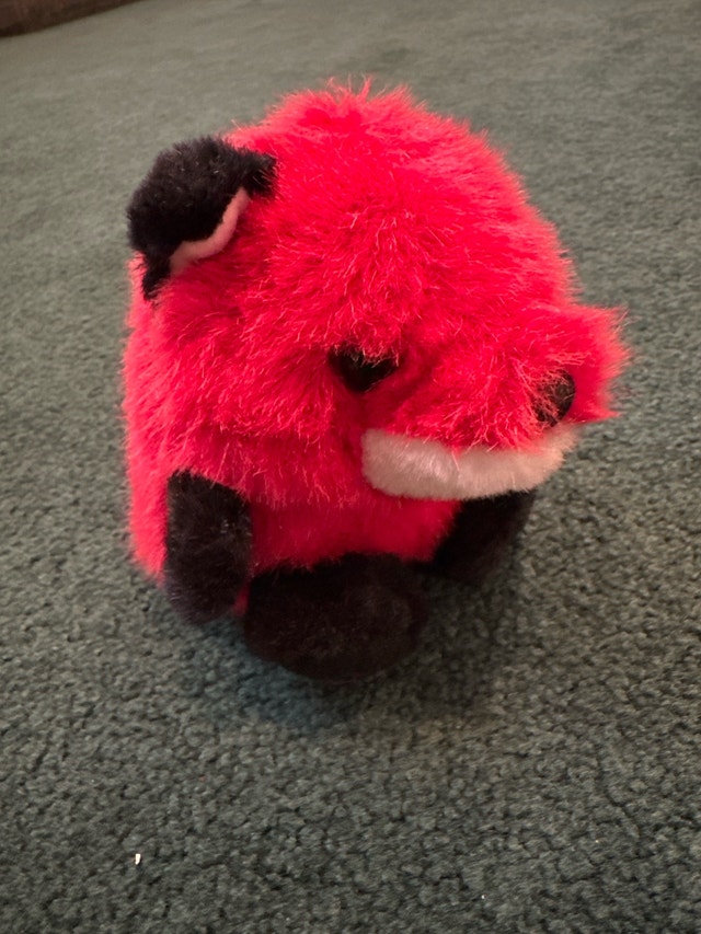 MJC Red Fox - photo 5