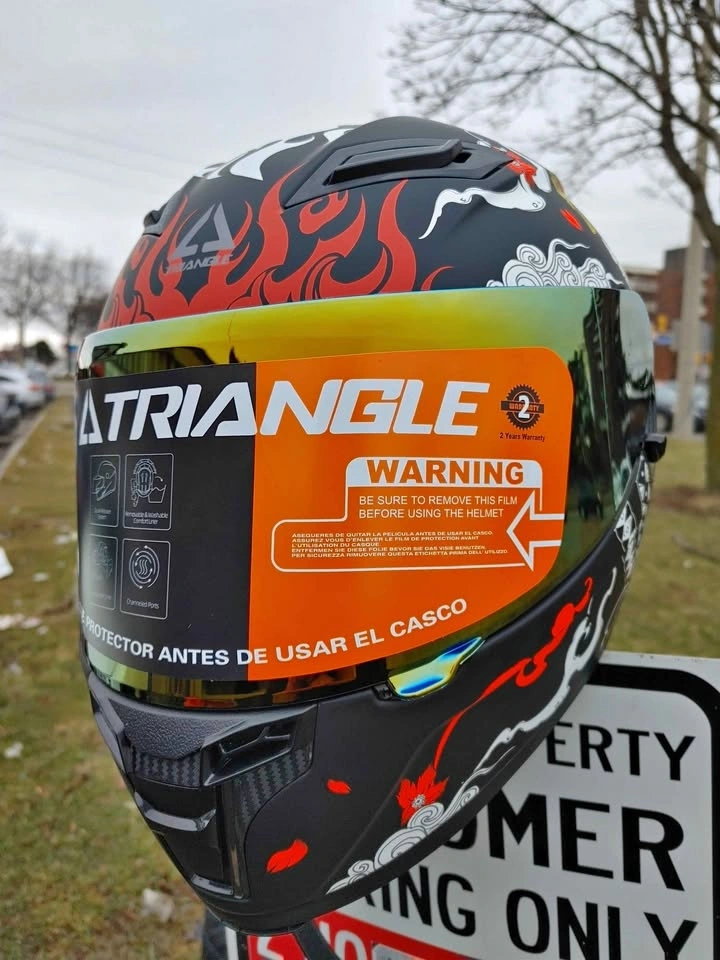 Triangle Motorcycle Helmet (L)