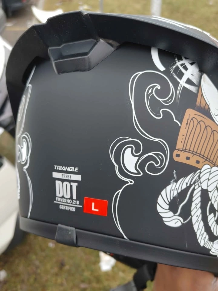 Triangle Motorcycle Helmet (L) - photo 2