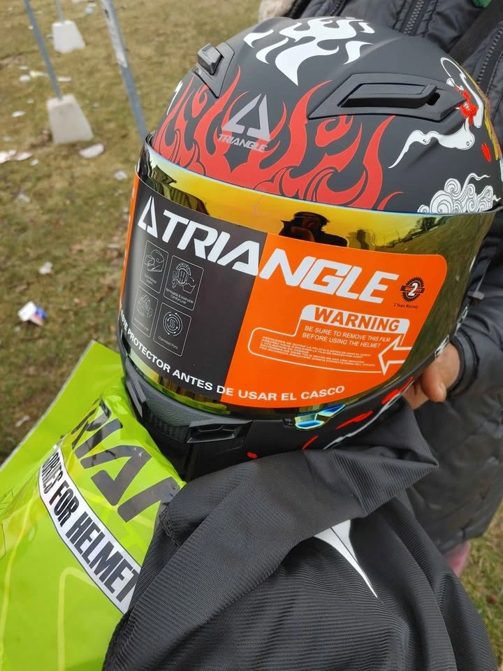 Triangle Motorcycle Helmet (L) - photo 4