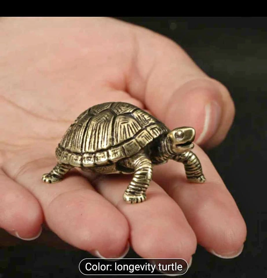 Copper Brass Solid Turtle Wealth Longevity Money Tortoise Small