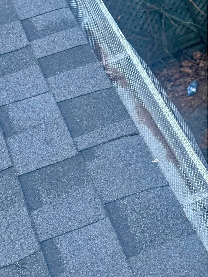 Gutter cleanup before summer