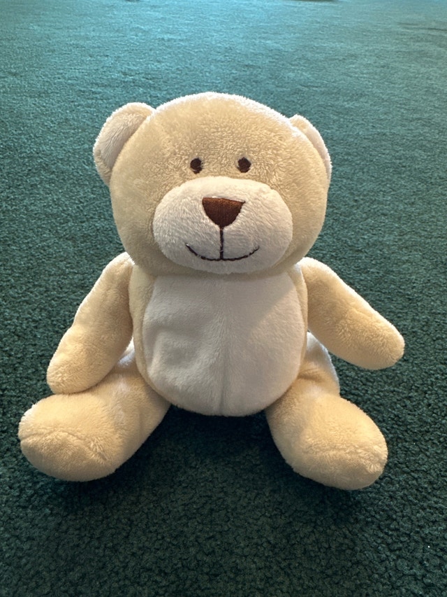 Kids Preferred Teddy Bear