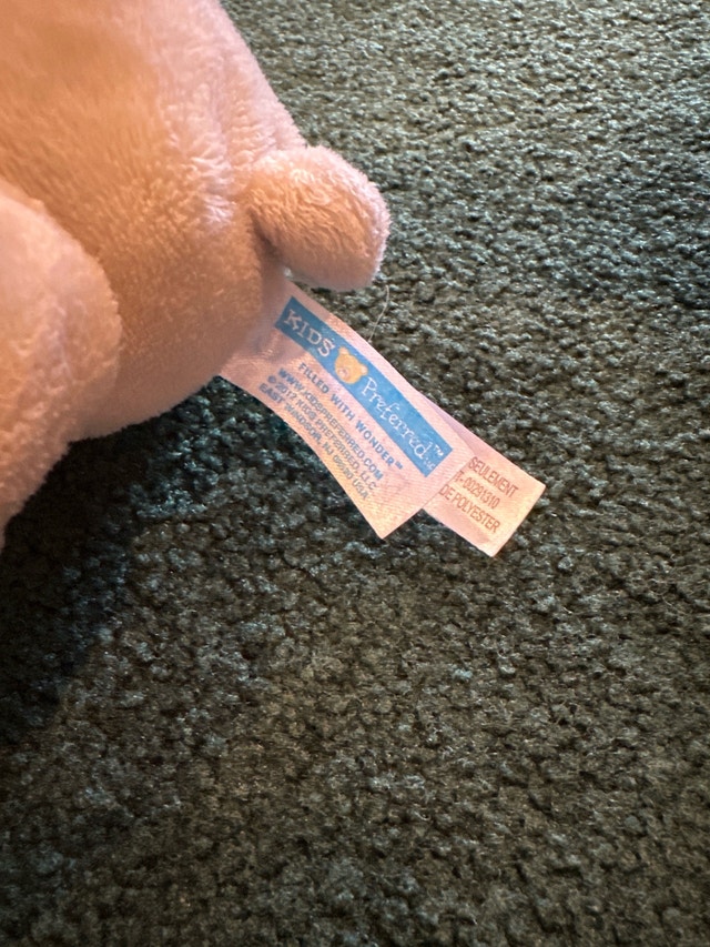 Kids Preferred Teddy Bear - photo 4