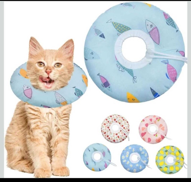 Seyezo Cat Recovery Collar - Fish Design
