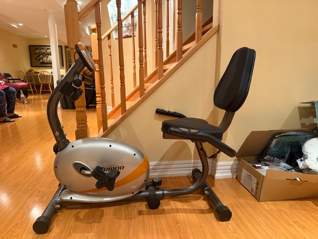 Tempo Fitness Recumbent Exercise Bike
