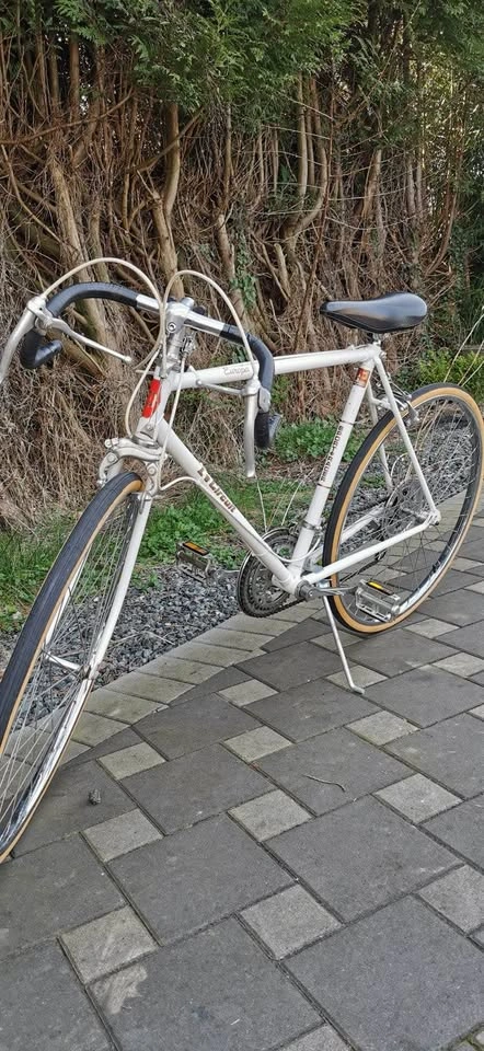 Vintage Le Circuit Europa Bike - photo 2