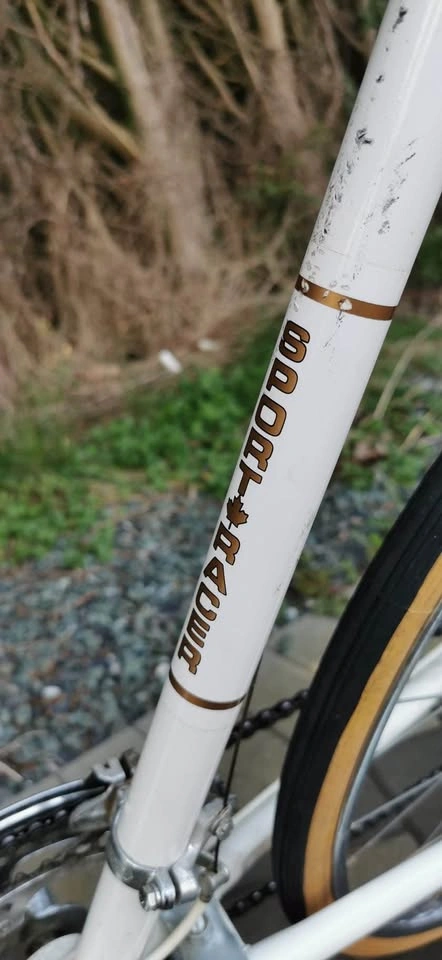 Vintage Le Circuit Europa Bike - photo 5