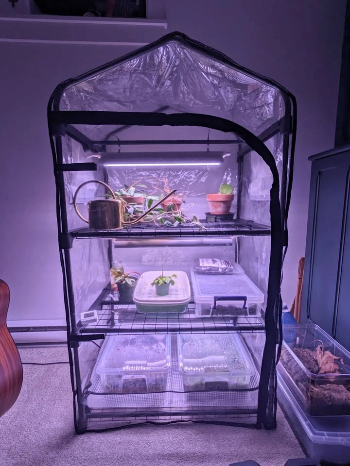 Indoor Greenhouse with Lights. Barely used!