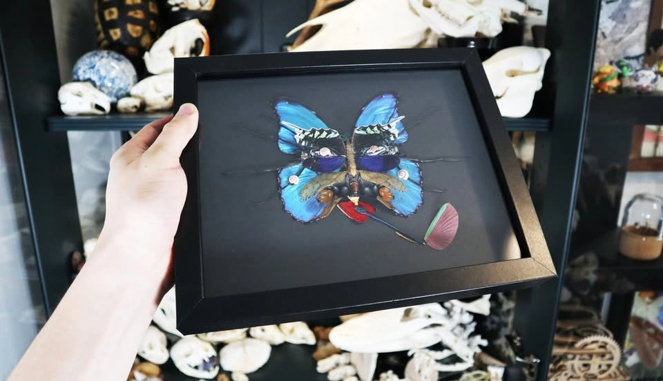 Fumar, To Smoke. Arthropod Art, dated and signed - photo 5