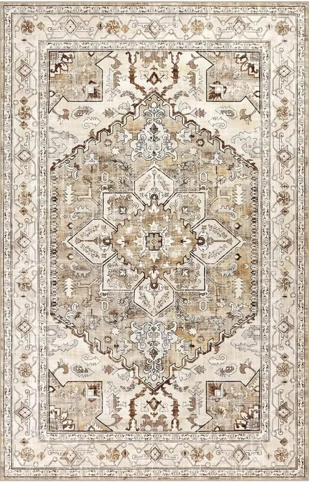 New Yamaziot Rug 5X7 - Beige/Brown image indicator(2)