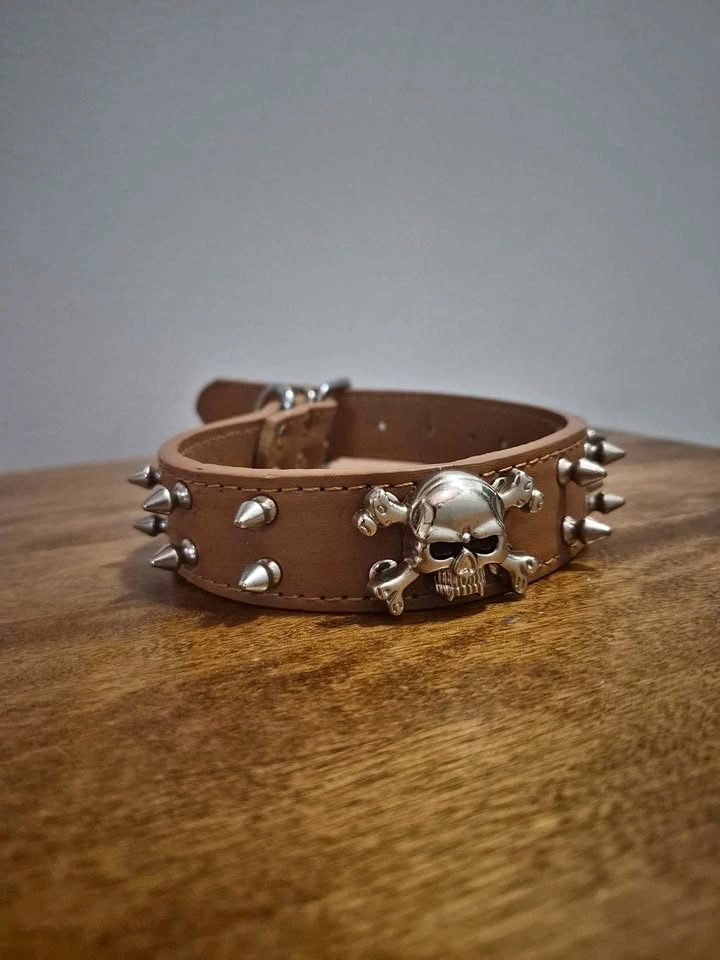 Leather dog spike collar with skull