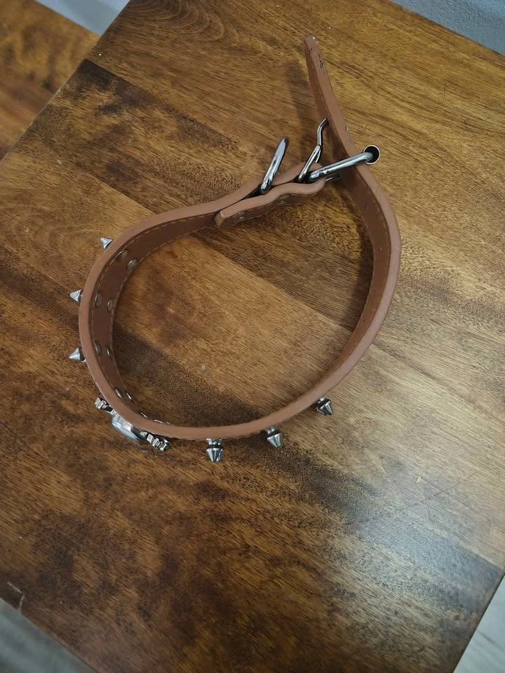 Leather dog spike collar with skull - photo 2