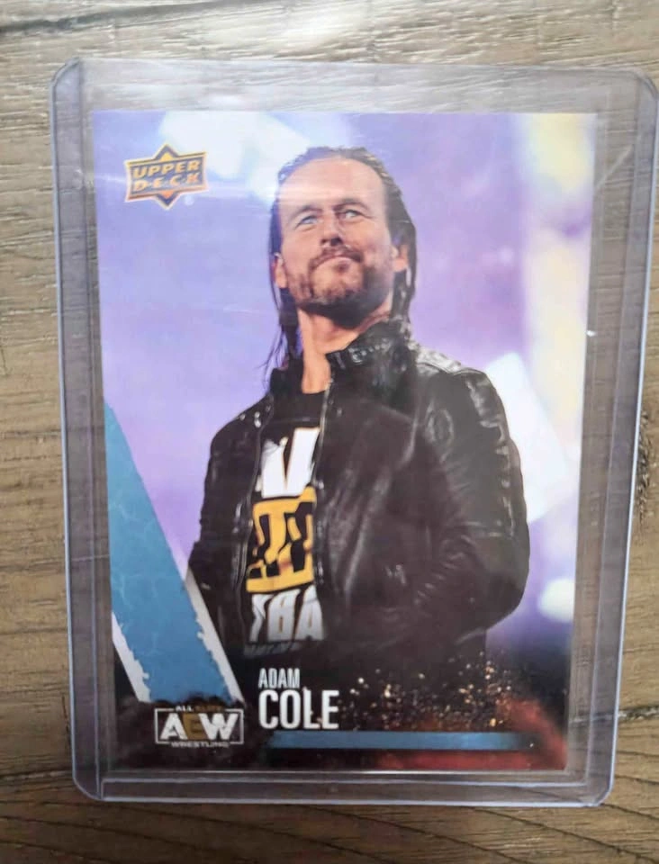 AEW Adam Cole Debut Card
