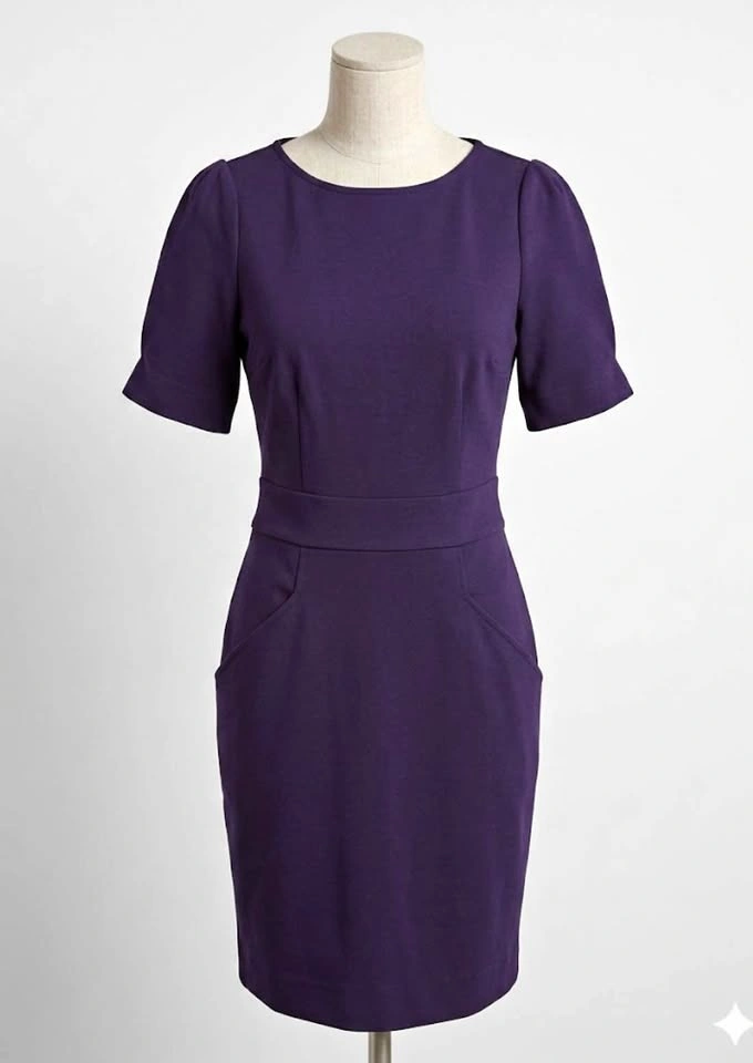 Banana Republic Women's Purple Sheath Dress Size 0