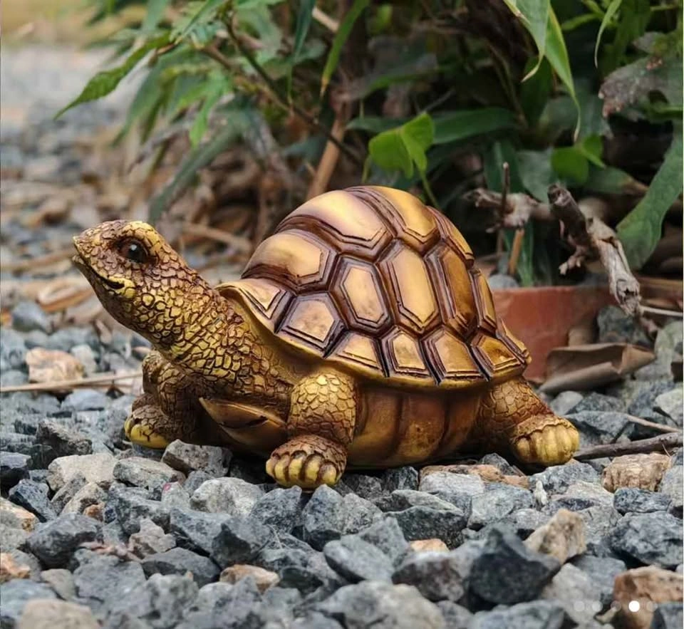 Beautiful looks like real turtle large size. For turtles lovers - photo 2
