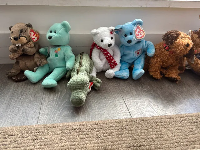 75+ Ty beanie babies with tags - Large, regular & small image indicator(2)