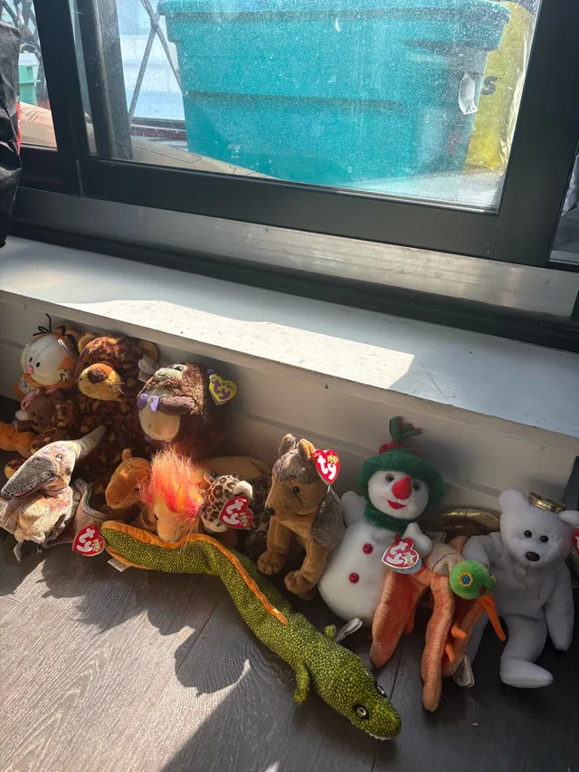 50+ Ty Beanie Baby’s with tags! thumbnail