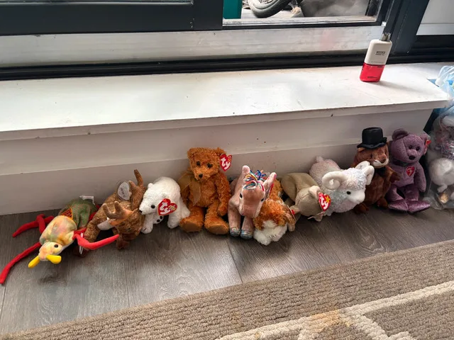 50+ Ty Beanie Baby’s with tags! 3$ each image indicator(5)