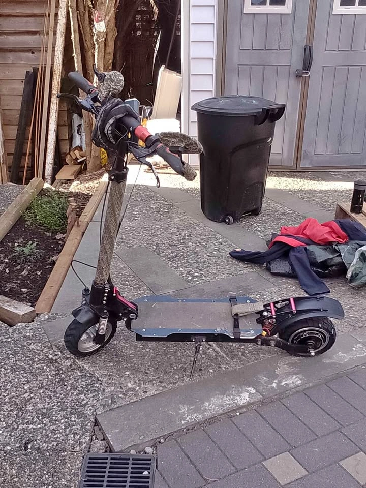 Synergy sport Electric Scooter