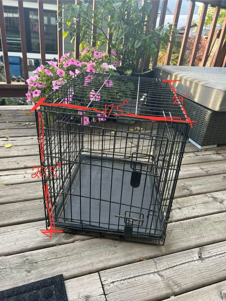 Medium Collapsible Wire Dog Crate
