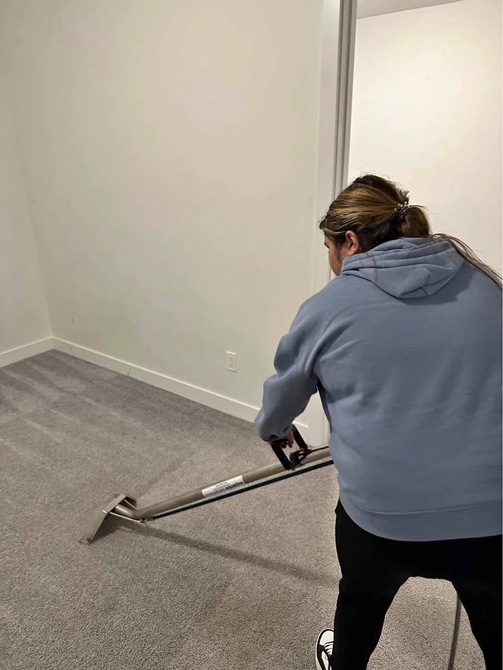 Steam Clean Carpet