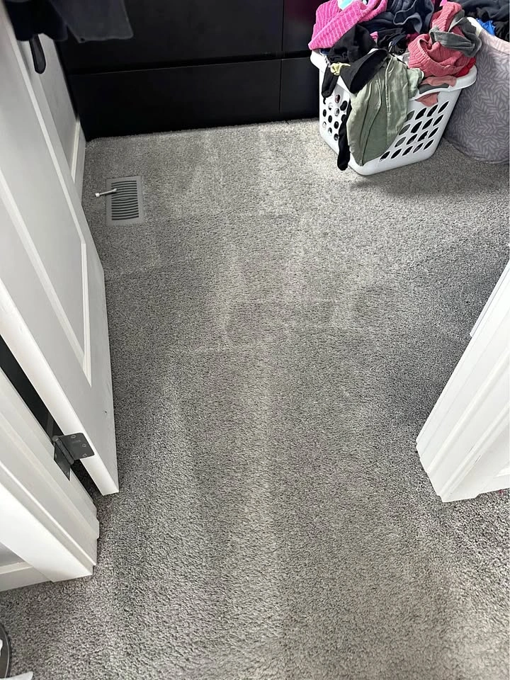 Steam Carpet Clean