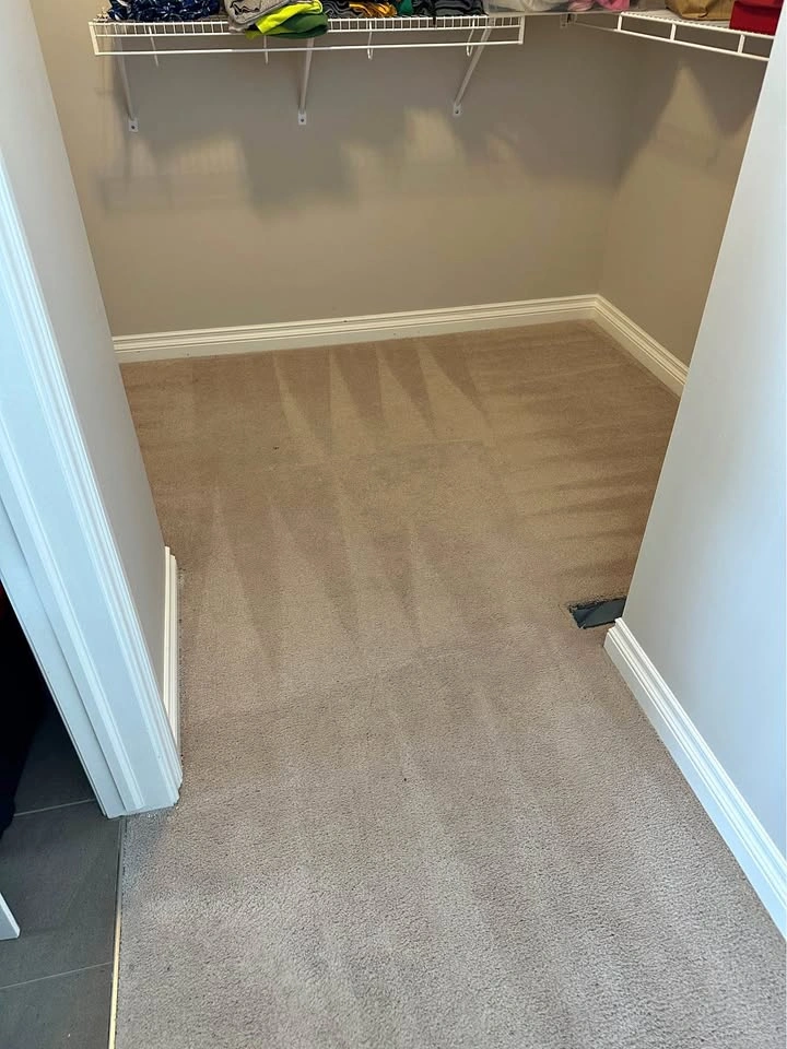 Carpet Cleaning / Available 24/7