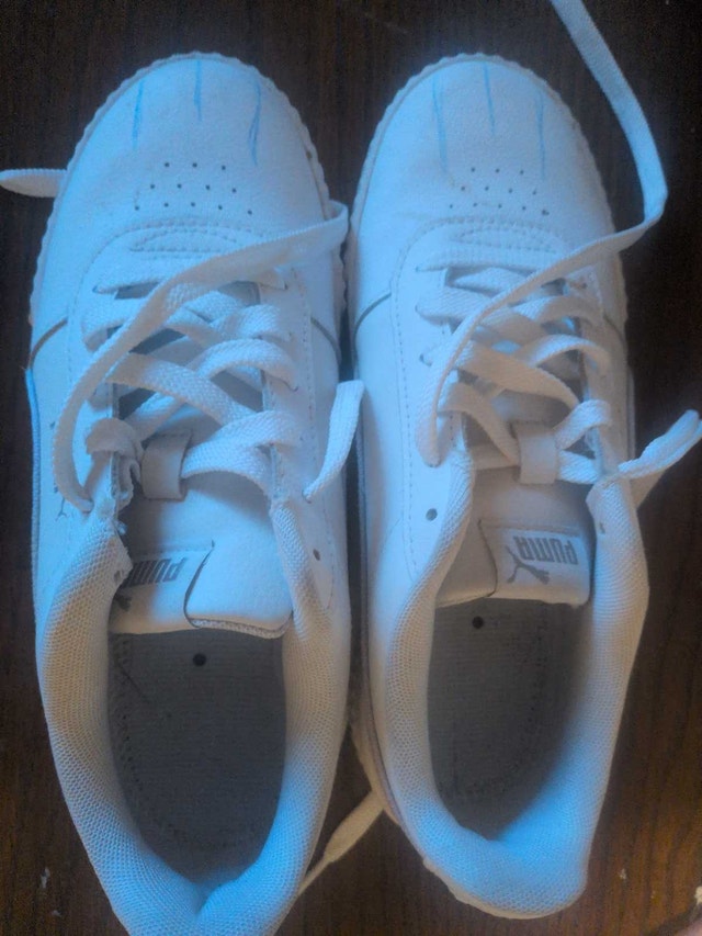 White Pumas