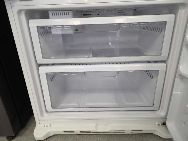 Samsung 19 cu ft Bottom Freezer Fridge - photo 5