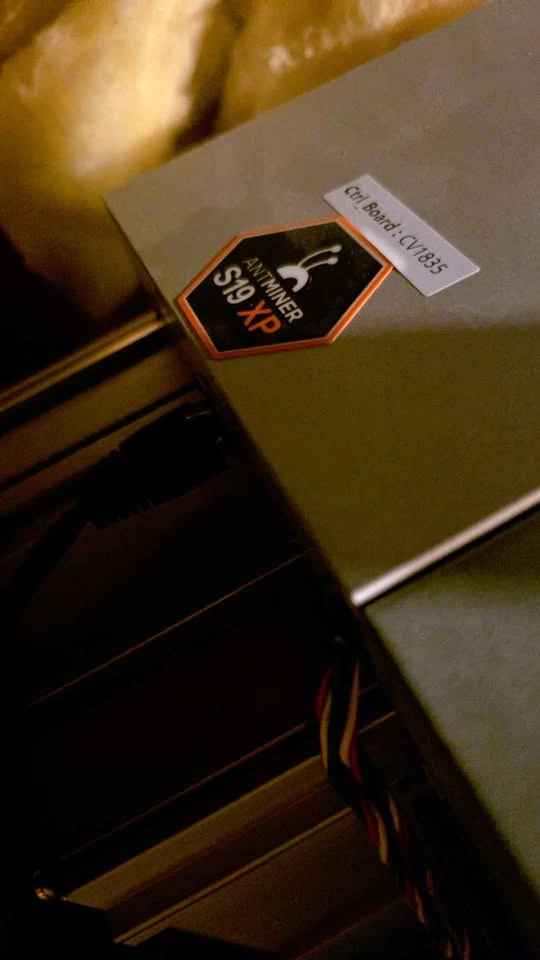 S19 XP - photo 2