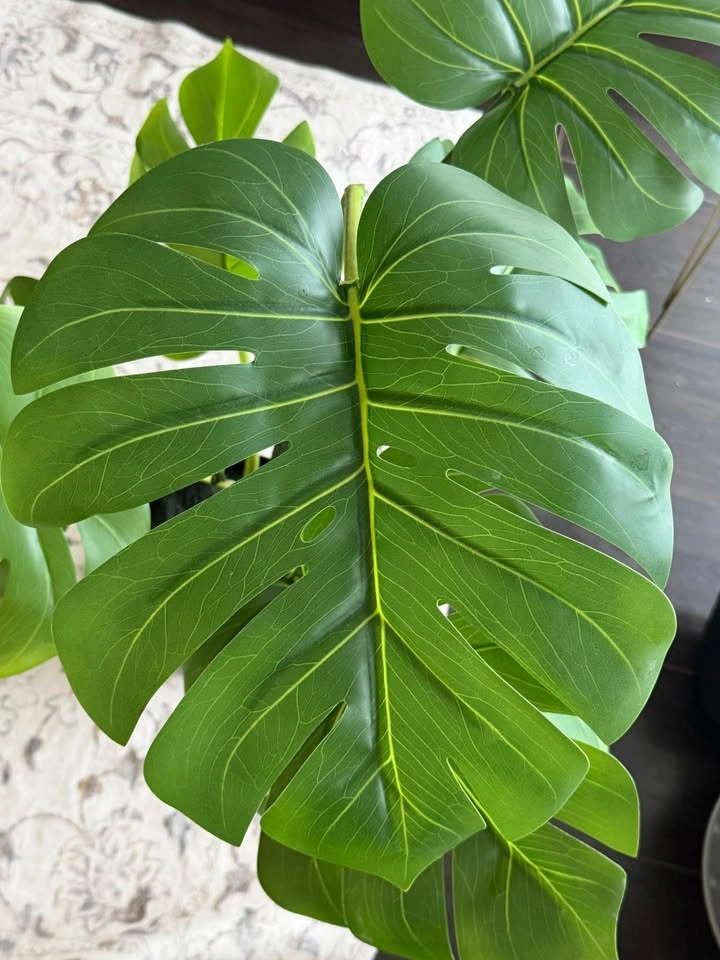 Artificial Monstera Plant - photo 2