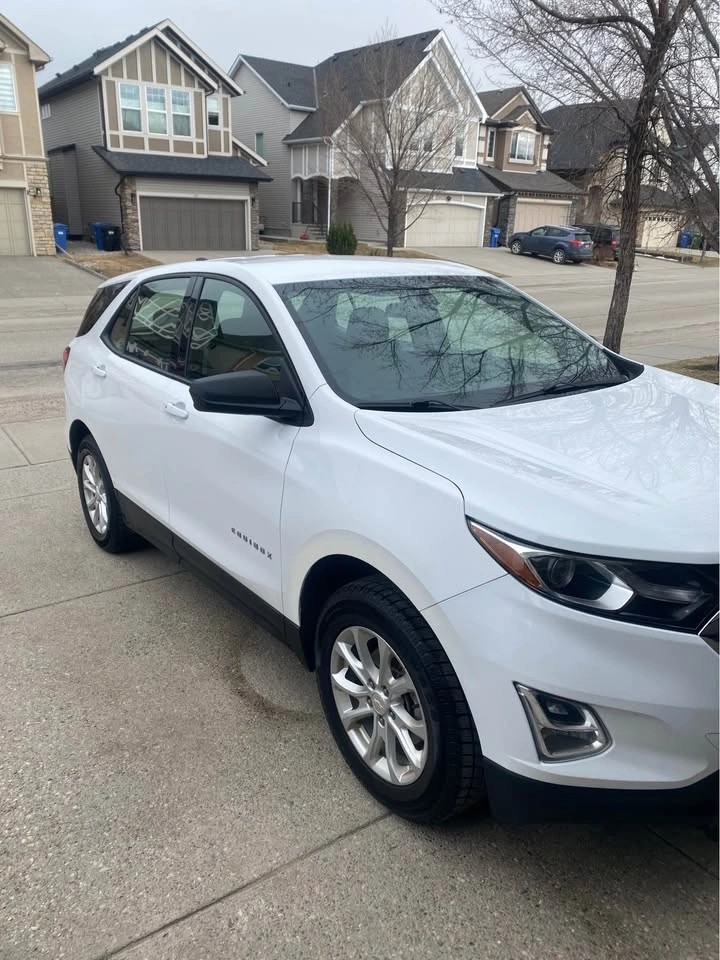 2018 Chevrolet Equinox LS AWD - photo 2