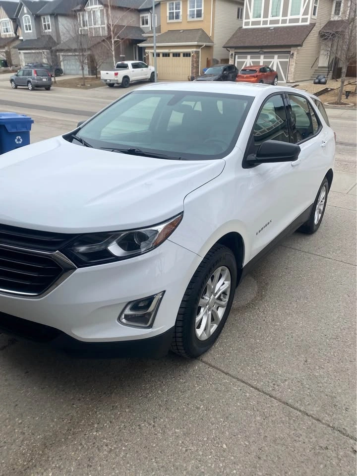 2018 Chevrolet Equinox LS AWD - photo 3