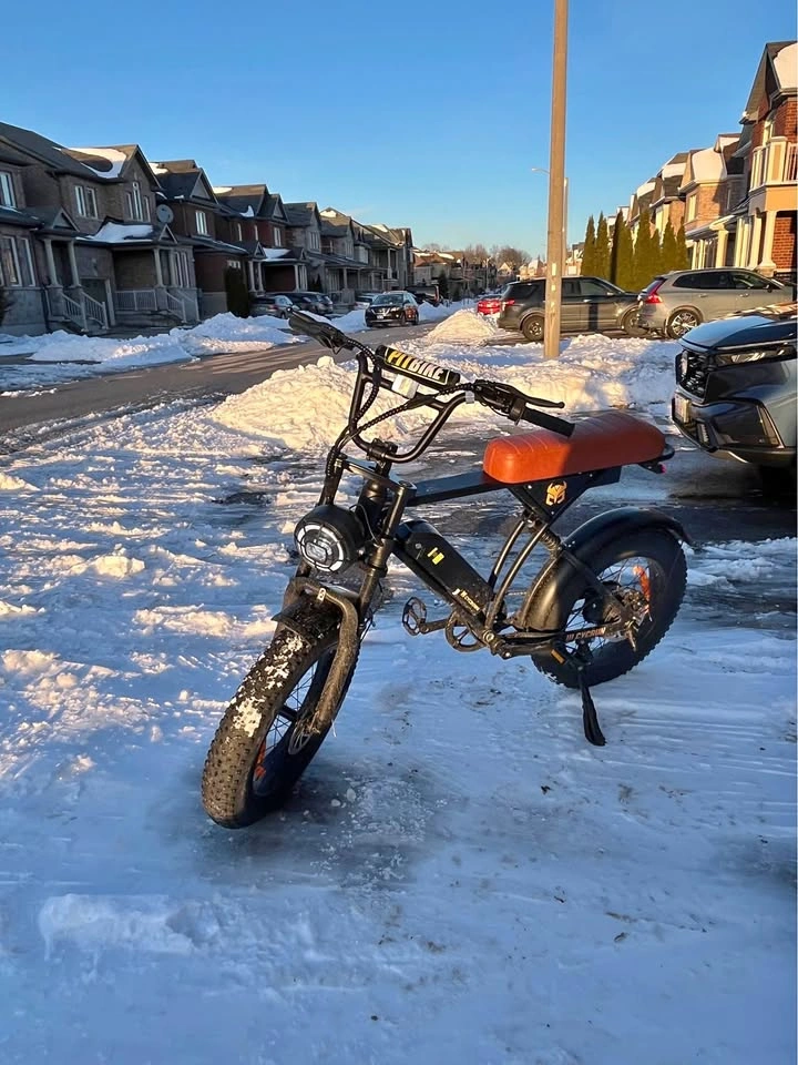 E-Bike with Fat tires