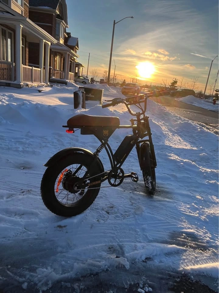 E-Bike with Fat tires - photo 2