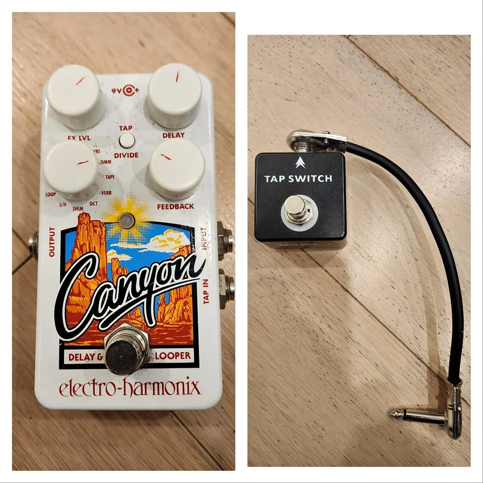 $200 Electro-Harmonix Canyon Delay + Looper Pedal + Tap Switch