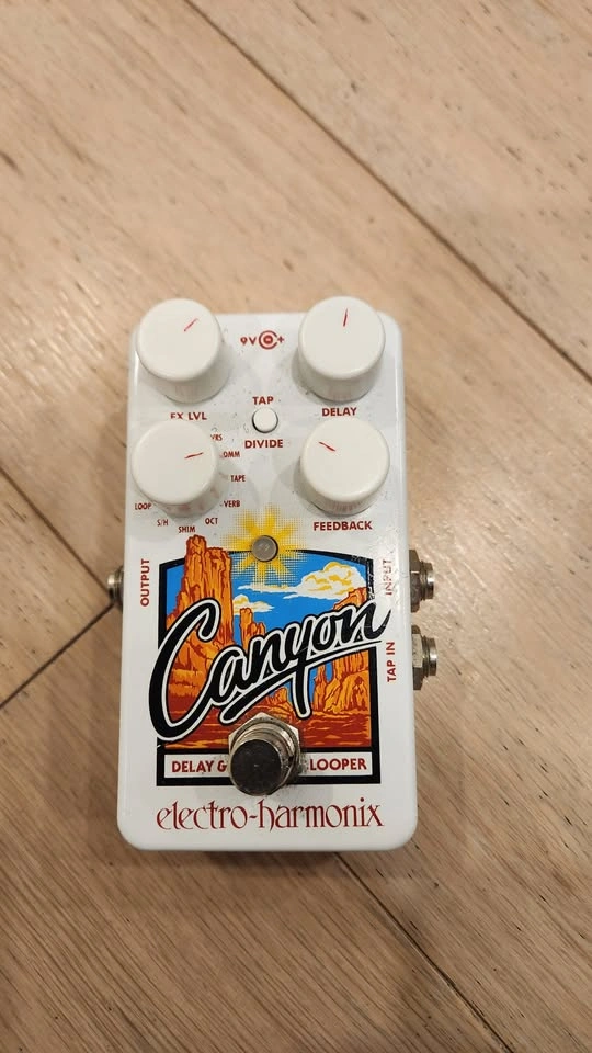 $200 Electro-Harmonix Canyon Delay + Looper Pedal + Tap Switch - photo 2