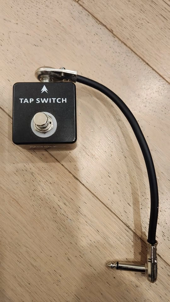 $200 Electro-Harmonix Canyon Delay + Looper Pedal + Tap Switch - photo 3