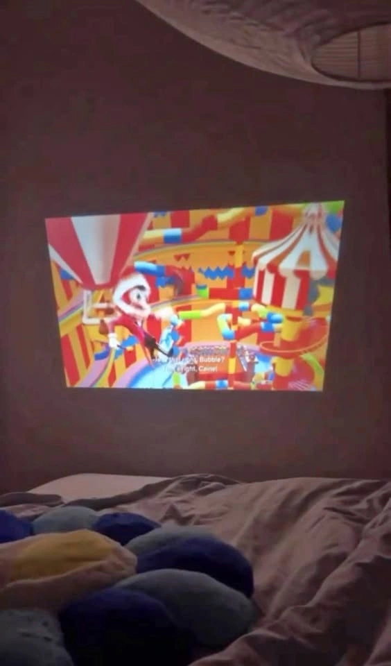 Projector