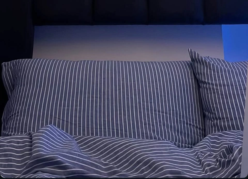 queen duvet set - photo 2