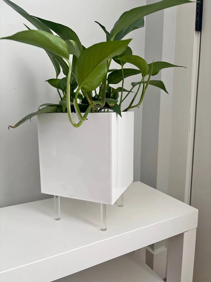 Planter stand with pothos