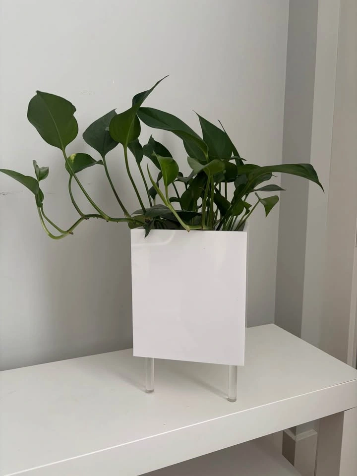 Planter stand with pothos - photo 2