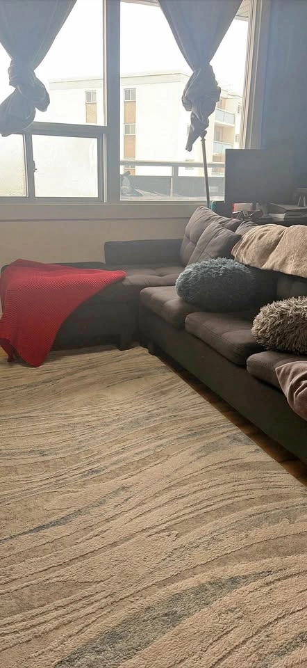 Dark Gray Sectional Sofa w/ Chaise