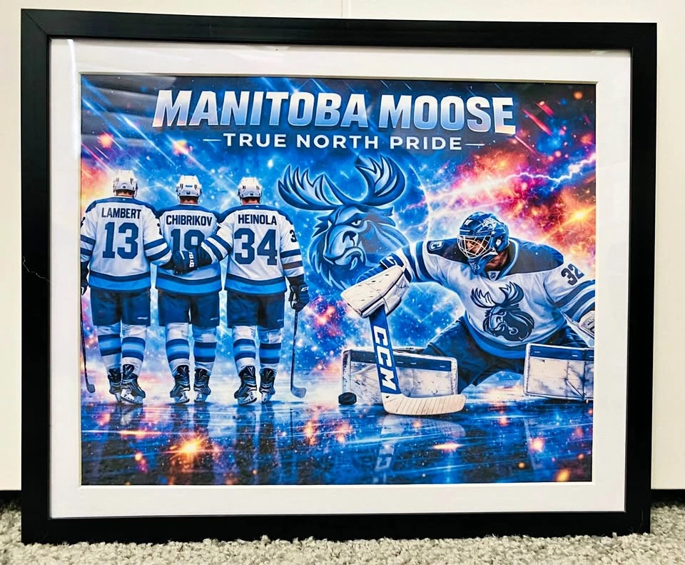 Manitoba Moose Framed Art