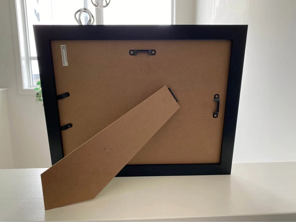 Manitoba Moose Framed Art - photo 2